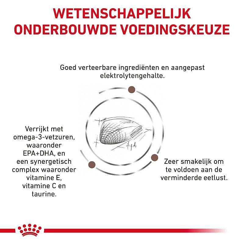 Royal Canin Gastrointestinal Kat 2 kg