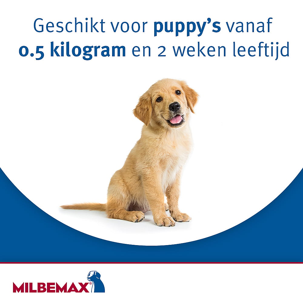 Milbemax Grote Hond Ontwormingstabletten