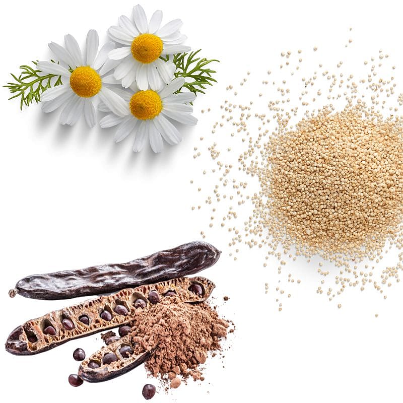 Beco Treats Dog Choc with Camomile & Quinoa 1 x 70 gram Hond