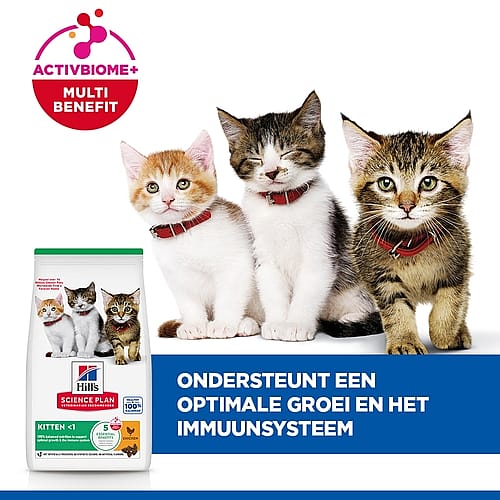 katten, voer, kittens, kattenshirt, kattenvoerpakket