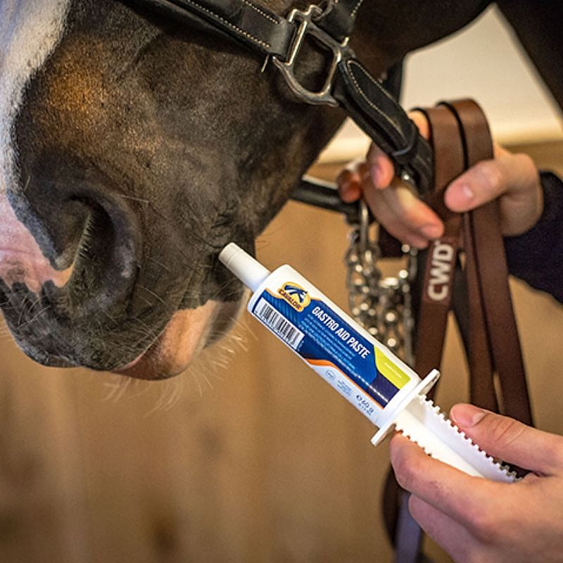 Cavalor Gastro Aid Pasta 60 gram