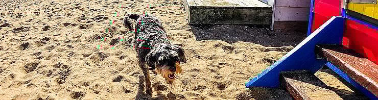 4440b4841879c59c435dedb871ee8f7f