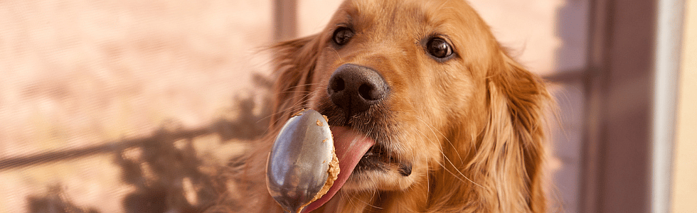 234310216a5af1d3c433f735b78ae334