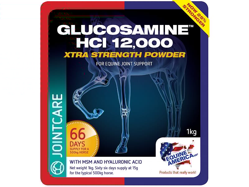 Equine America Glucosamine HCl 12000 Paard 1 kg