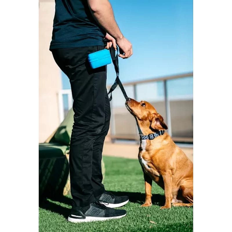 Popware Pooch Pouch Treatbag Blauw