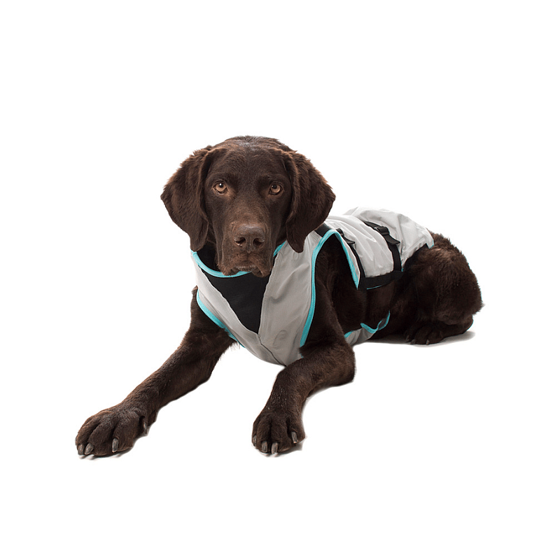 Dry Cooling Vest Hond