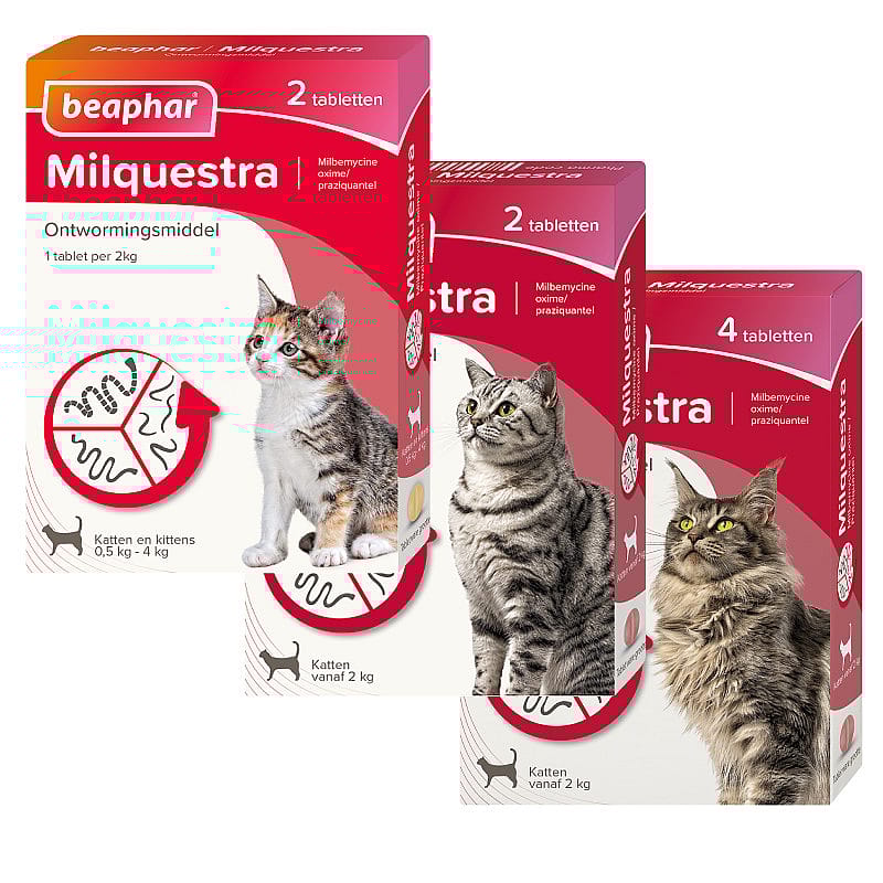 Beaphar Milquestra Ontwormingstabletten Kat 2 Tabletten - Kleine Kat en Kitten 0.5 tot 4 kg