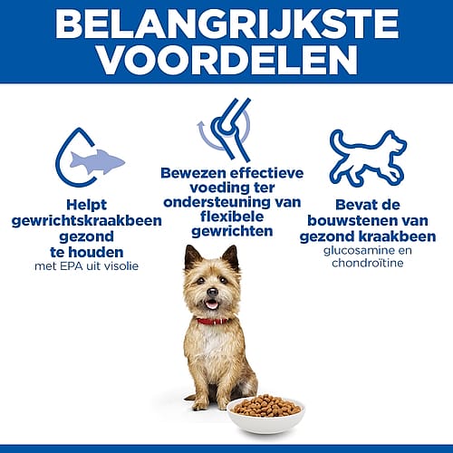 kibble, dog food, bowl, dog, grain-free