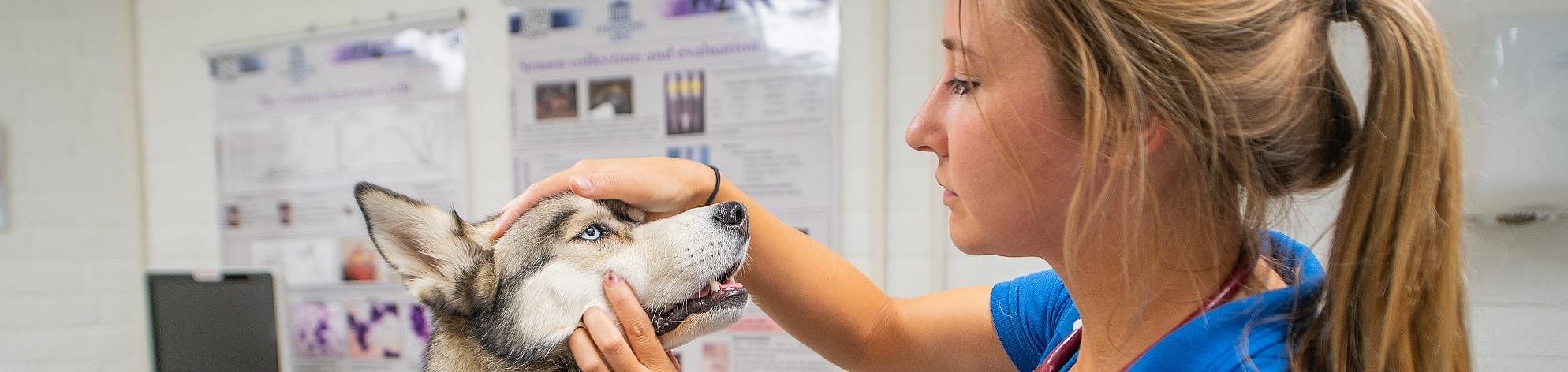 231d45271471aba591473015c33fb7ab