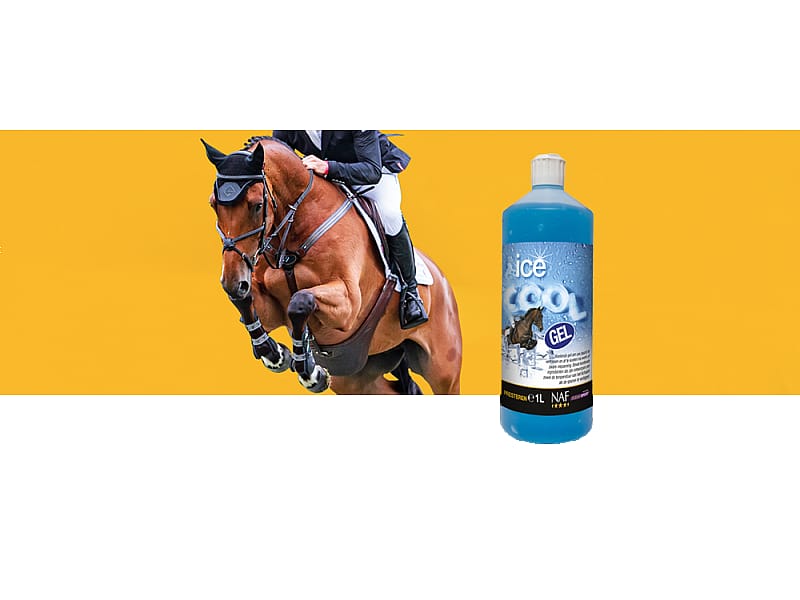 NAF Ice Cool Gel – Intens verkoelende gel voor vermoeide paardenbenen 1 liter