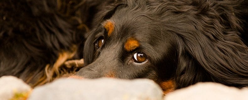 b5c20962696761f12381689f90f25d8d