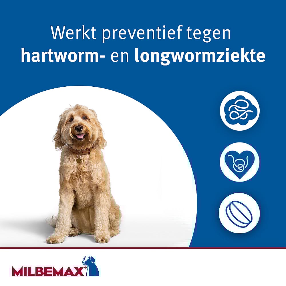 Milbemax Grote Hond Ontwormingstabletten