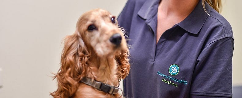 cb98384d81c3dca814cdc99b92fe4d56