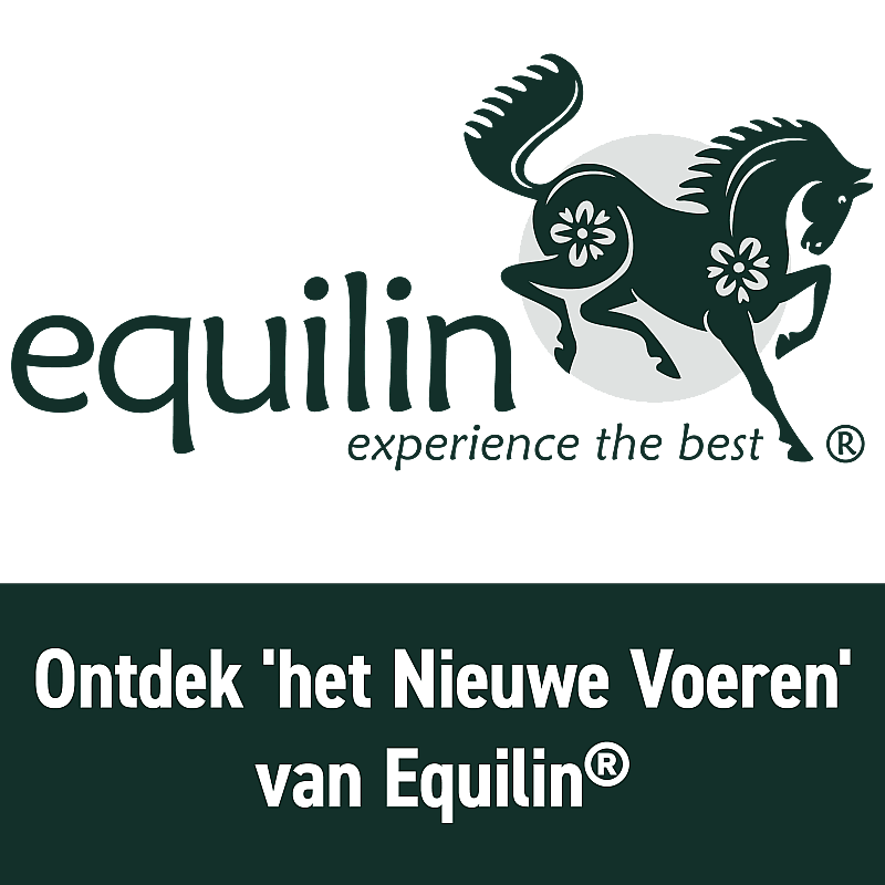 Equilin Basic Paard 6.3 kg