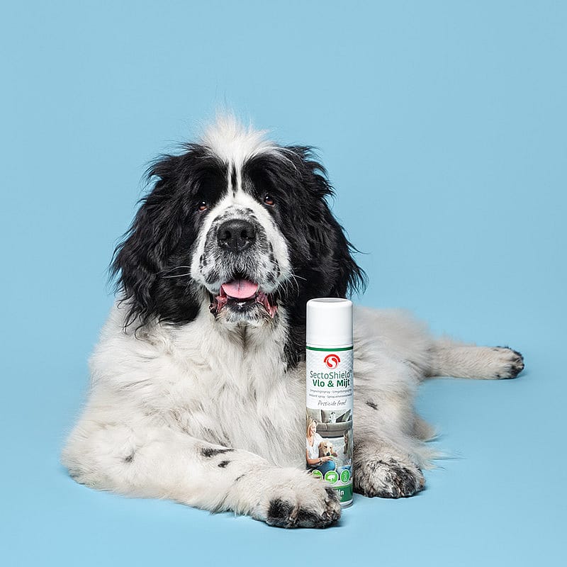 SectoShield Vlo en Mijt Omgevingsspray Huisdieren 400 ml