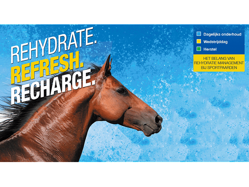 Virbac Recharge Paard 1 liter