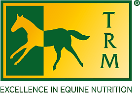 Dier, Colt Horse, Paard, Zoogdier, Dier, Colt Horse, Paard, Zoogdier