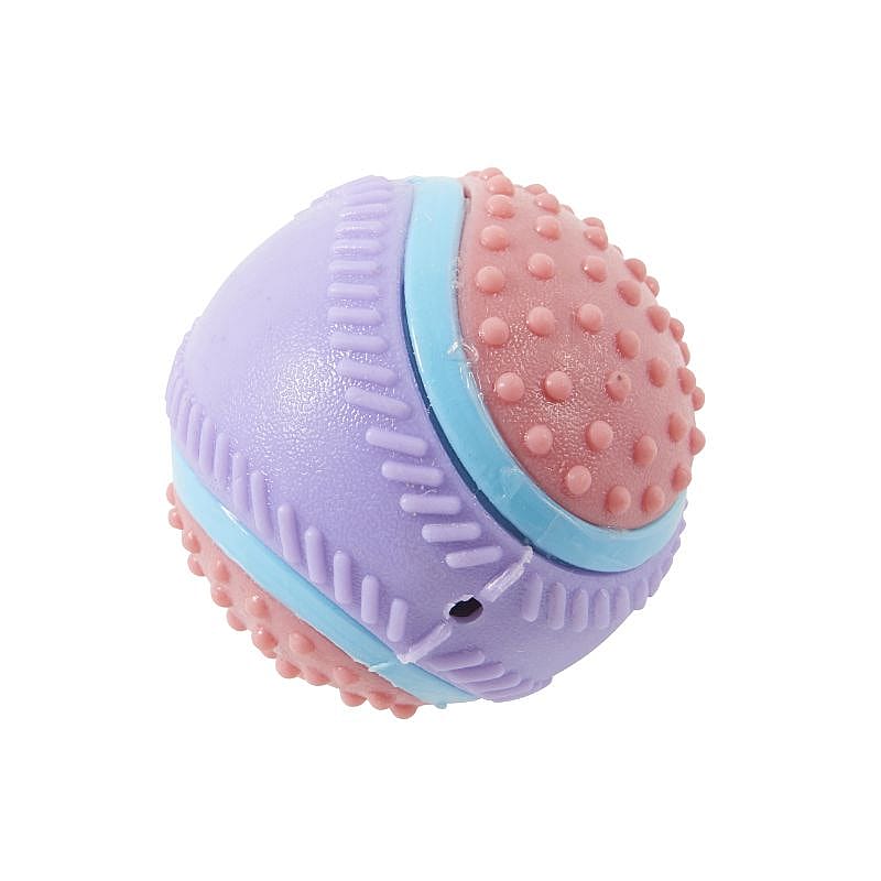 Buster Sensory Ball Zintuigen Speelgoed Hond Small