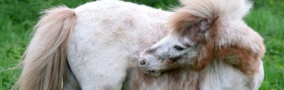 762b1e3a7e042985101c9f32427b4e96