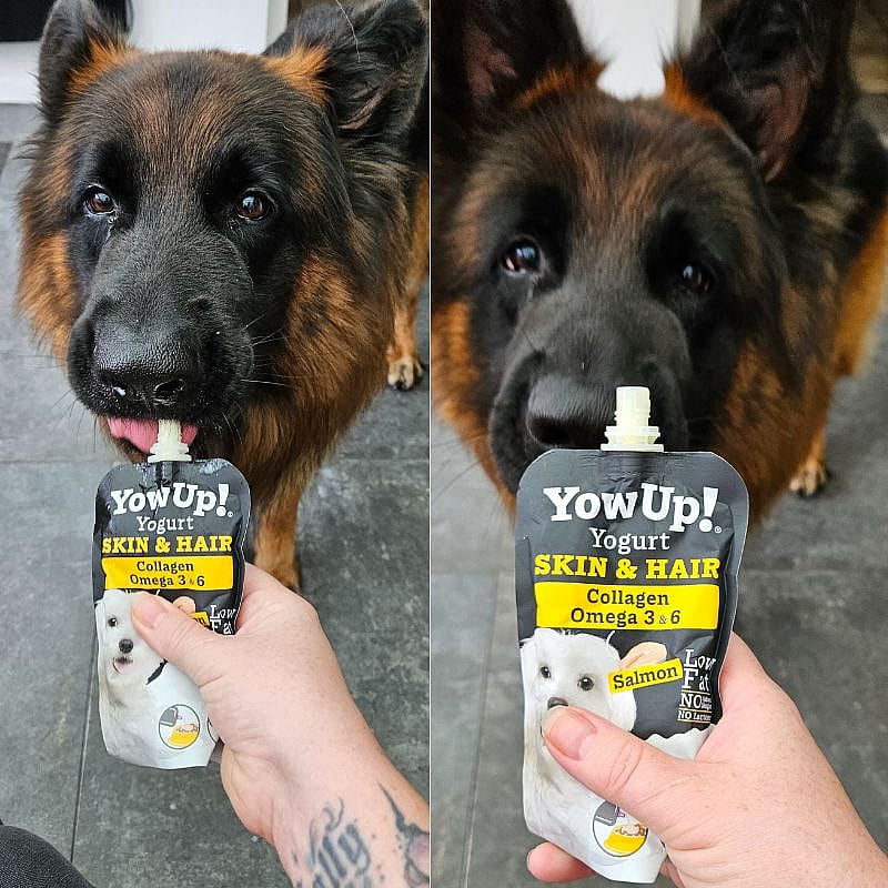 YowUp! Yogurt Skin & Hair Hond 115 gram