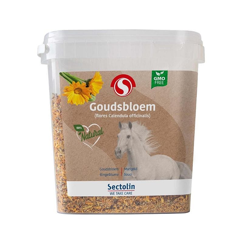 Dier, Paard, Zoogdier, Dier, Paard, Zoogdier, Dier, Paard, Zoogdier, Dier, Paard, Zoogdier