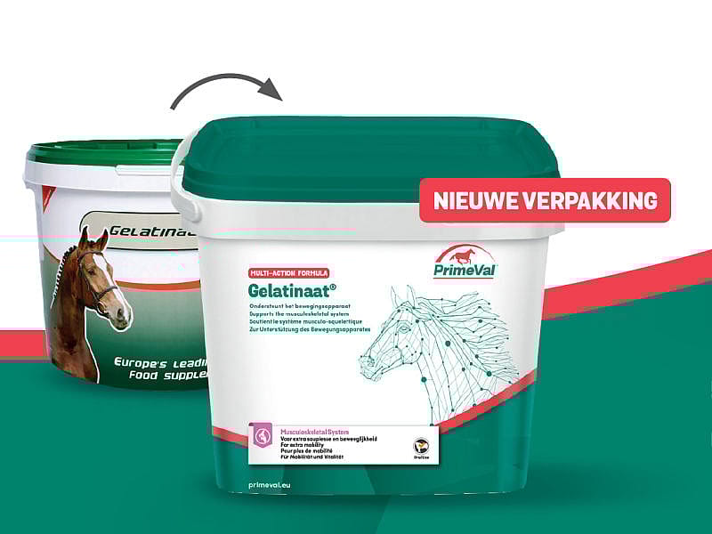 Primeval Gelatinaat Paard 2 kg