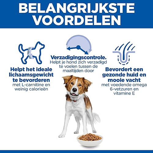 dog, huisdier eten, hondenvoer, hondenbak, brokjes