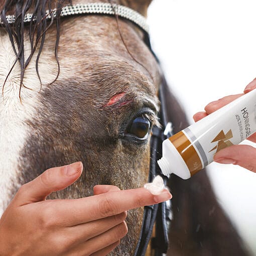 Maxani Honinggel 50 gram