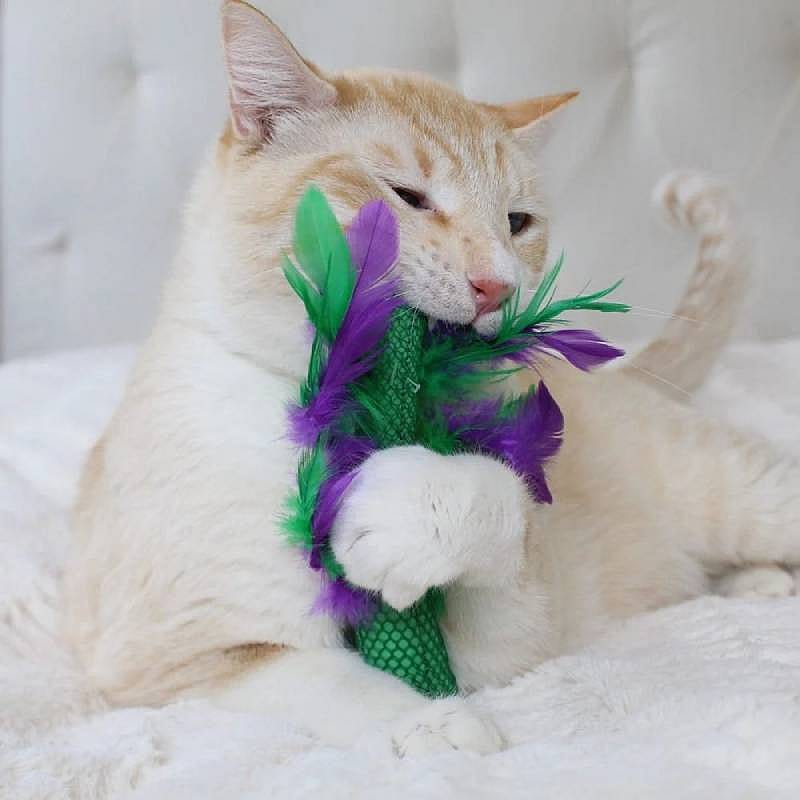 Petstages Krazy Kale Kauwspeelgoed Kat