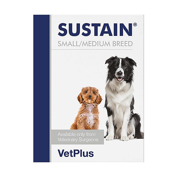 Vetplus Sustain Probiotica Hond 30 zakjes - Kleine/middelgrote hond