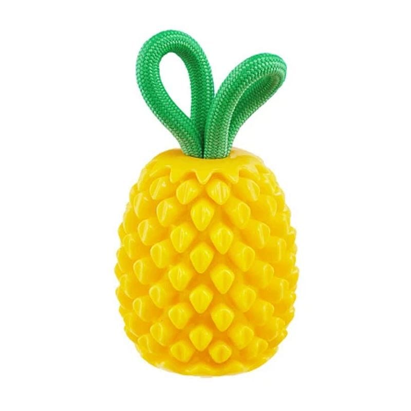 Outward Dental Pineapple Hond