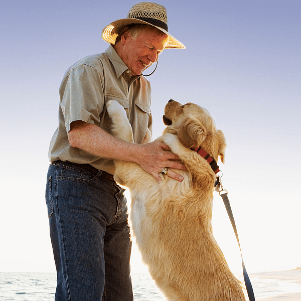 Dierapotheker Huisdierenmerk Glucosamine-Chondroitine 400-400 mg ca. 60 tabletten