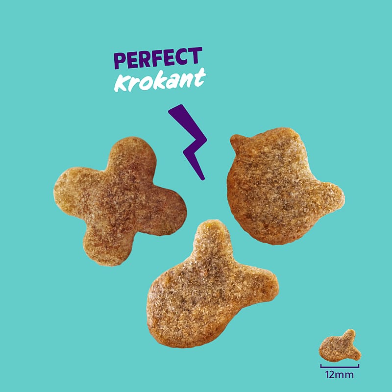 Edgard & Cooper Crunchies Kattensnacks 50 gram Zalm