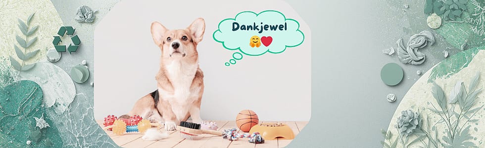Geef dierenspullen een tweede leven voor dier en planeet main image 980x300px