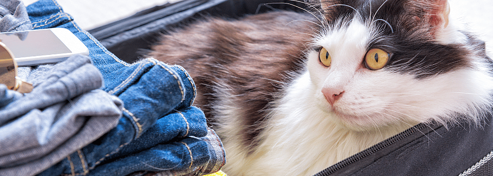 d37b60b9cd638e12165eb26c53350689