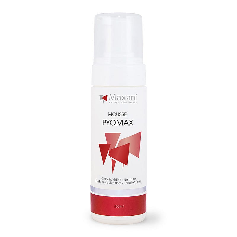 Maxani PyoMax Mousse Hond Kat Paard 150 ml