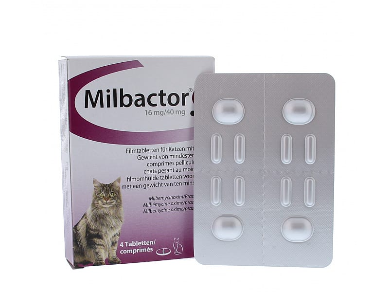 Milbactor Ontwormingstablet Kat 4 tabletten - Middelgrote en grote kat