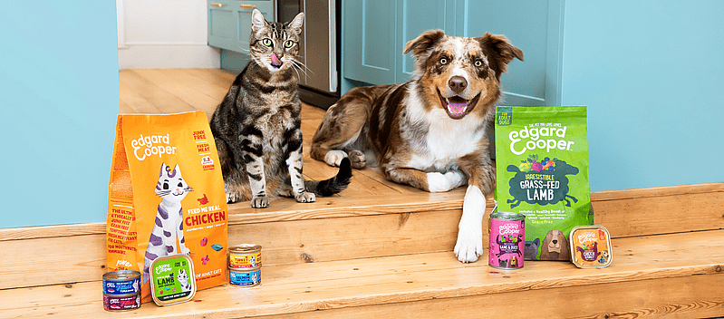 971533484c02c68ea37eb3ae01656c00