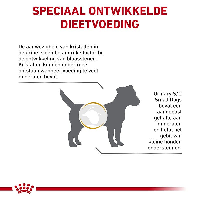 Royal Canin Urinary S/O Small Dog