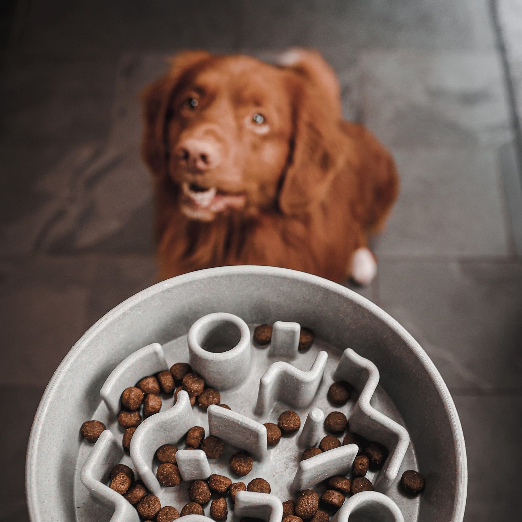 District 70 Bamboo Anti-schrok Voerbak Hond Merengue - Ø28 cm (2500 ml)