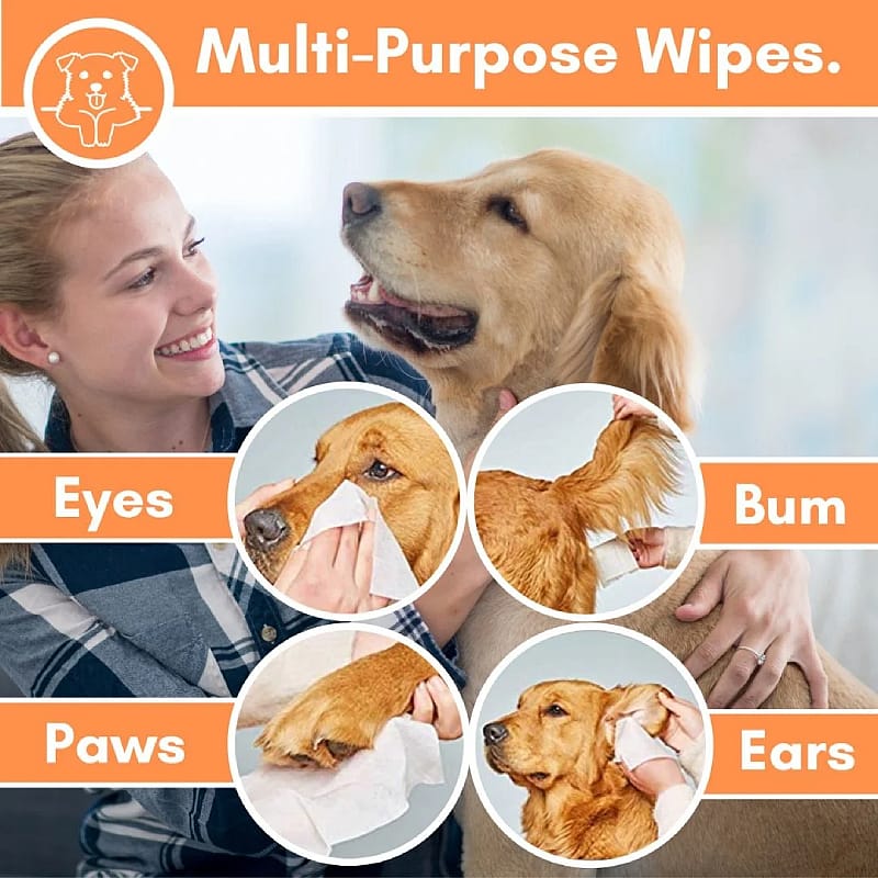 DogsLife Grooming Wipes Hond 100 stuks