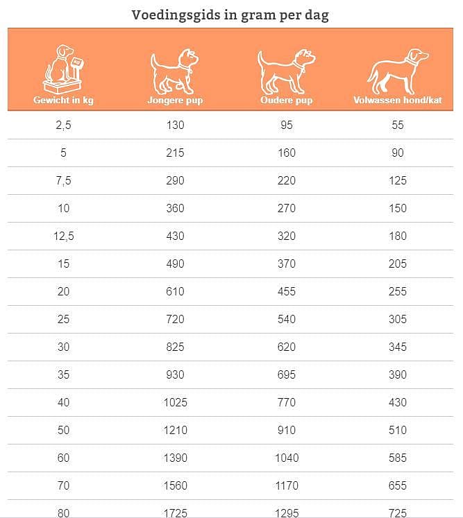 Specific CDD-HY Food Allergy Management hond