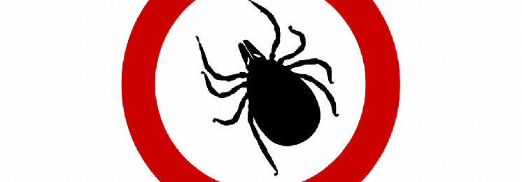 04ba3e7096fe813799a3b3a6c4c424a5