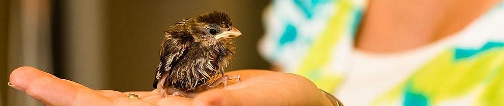 cd57ee56e33b04fb76bd8827d18fd823