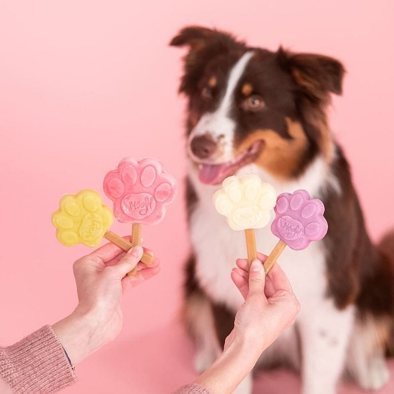 Smoofl Limited Edition Gift Set Hond