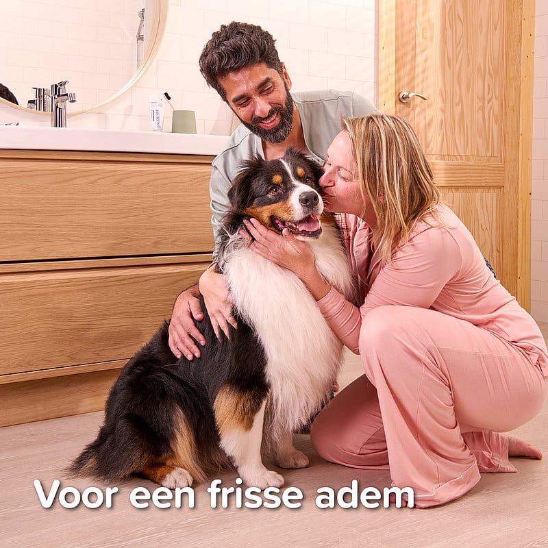 Beaphar Tandpasta en Tandenborstel 1 set