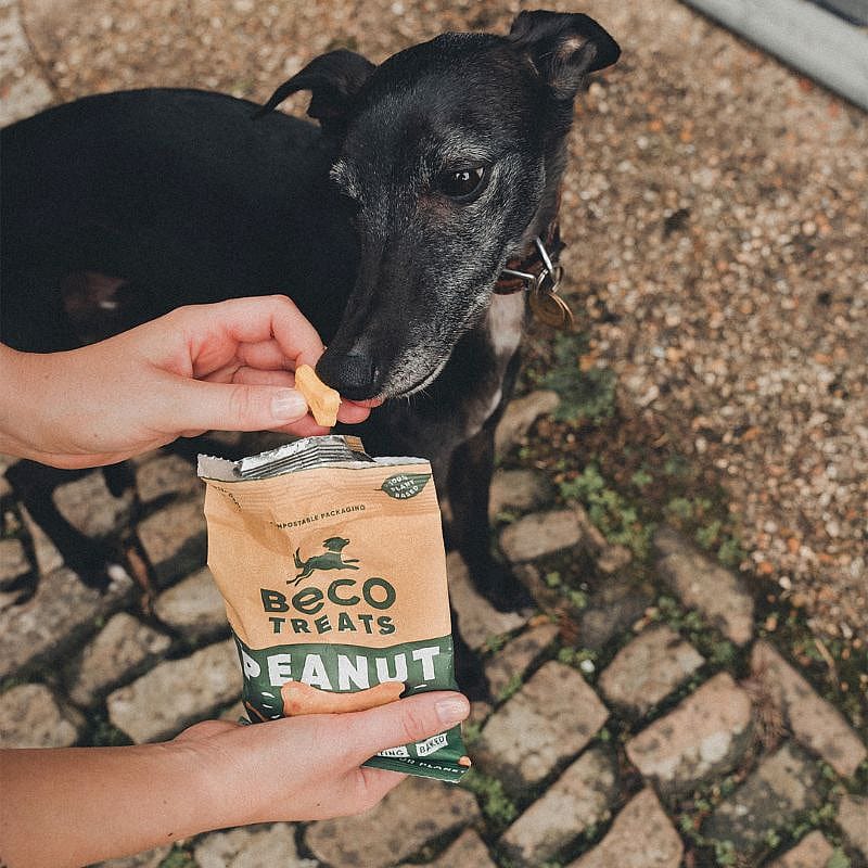 Beco Treats Peanut with Coconut & Turmeric 1 x 70 gram Hond