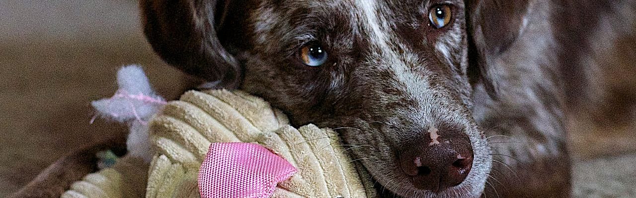 681afb2f3a7759f76d61e7e70d7e125d