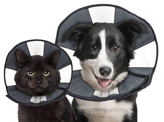 ZenPet ProCone Soft Recovery Kraag
