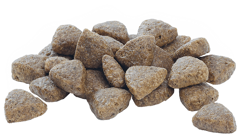 Purina Pro Plan Large Athletic Puppy Healthy Start Hondenvoer 12 kg